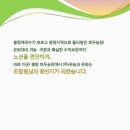 홍정농장 네이버블로그