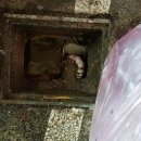 시화벤처로 이미지