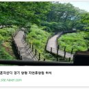 설매재자연휴양림 이미지