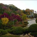 강감찬 동상 이미지