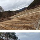 봉화1농장 이미지