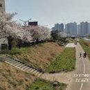 안중버스터미널 주변 이미지