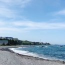 감포조개구이 이미지