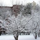 옥빛공원 이미지