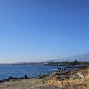 JY공인중개사사무소 이미지