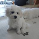 메리 동물병원 이미지