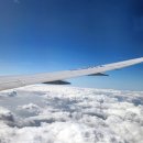 멍멍이와 야옹이 | 후쿠오카 돈키호테 텐진점 및 모토무라 규카츠 방문 후기