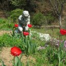 다산농원 이미지