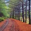 옥화자연휴양림 이미지