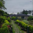 돌집민박 | 제주도 민박 숙소 추천 유수암돌집 조용한 힐링 공간