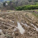 내덕농장 이미지