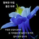 진건우회로 이미지