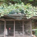 영숙농산물