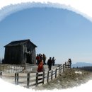 산울림목장 Daum카페