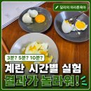 6세 과학놀이 계란 3분 5분 10분 익기 비교 실험 후기