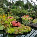 위드유호텔앤게스트하우스 이미지