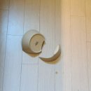 거꾸로 본 안경세상 | 블로그 정상영업중