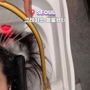 그레이스 블룸뷰티 두피관리 후기 신논현역 두피케어