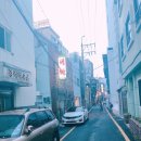 백설사 이미지