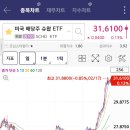 1380 | 미국 배당주의 근본, SCHD 1,380주 모은 후기 (수익률 &amp; 배당 정보)