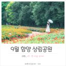 상림공원 주차장 이미지