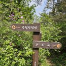 초암산주차장 Daum카페
