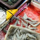 영남 | [맛집] 수원시농수산물도매시장 영남수산 내돈내산 후기｜새우 구매 가격, 솔직 리뷰