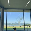 정글돔풀빌라 앤 글램핑 이미지