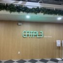 캣플헤븐 천안불당점 이미지