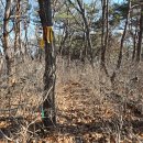 비봉산 정상부 이미지