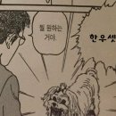 한우식육점 - 태백시 광장로 19 | 한우식육점