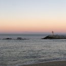 카페1441 이미지