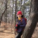 태을초교 이미지