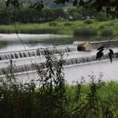 힐링쉼터민박 이미지