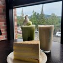 당일치기 여행 코스 [대천해수욕장, 라스칼라, 대천항수산시장, 문도노보, 대천해수욕장 스카이바이크]