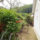 전원시대공인중개사사무소 이미지