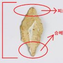 기독문화사 | 한국사 총론