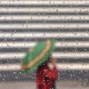 소나기 - 진주시 대신로 289-1 | 소나기