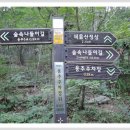 숲속나들이길 이미지