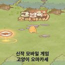 (주)엠에스지 이미지