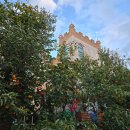 열매유치원 | 열매도 놀이도 풍성했던 [음성] 불빛 숨바꼭질_설치 후기