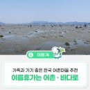 국내여행 가족과 가기 좋은 한국 어촌마을 추천 3곳