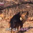 김지현농장 이미지