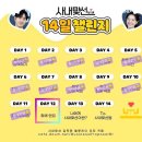 DAY 12 최애 엔딩 이미지