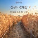 11월16일 토요당일 익산 함라산 봉화산 서천 신성리 갈대숲 이미지