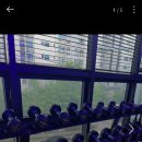 비에프짐 이미지