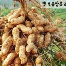 미르네농장 네이버블로그