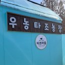우농유통 | 아기 승마와 먹이주기 체험 나들이, 경기도 파주 우농타조농장마을