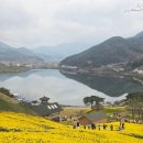 지리산터널펜션 | “구례 당일여행 코스 추천｜지리산 치즈랜드 수선화부터 비파가든 맛집, 사성암 운해까지 완벽 일정”