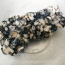 복자농장 이미지